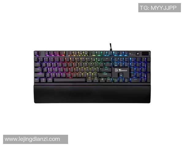 esports数据挑战者杯赛季回顾WE耐力表现分析与未来展望